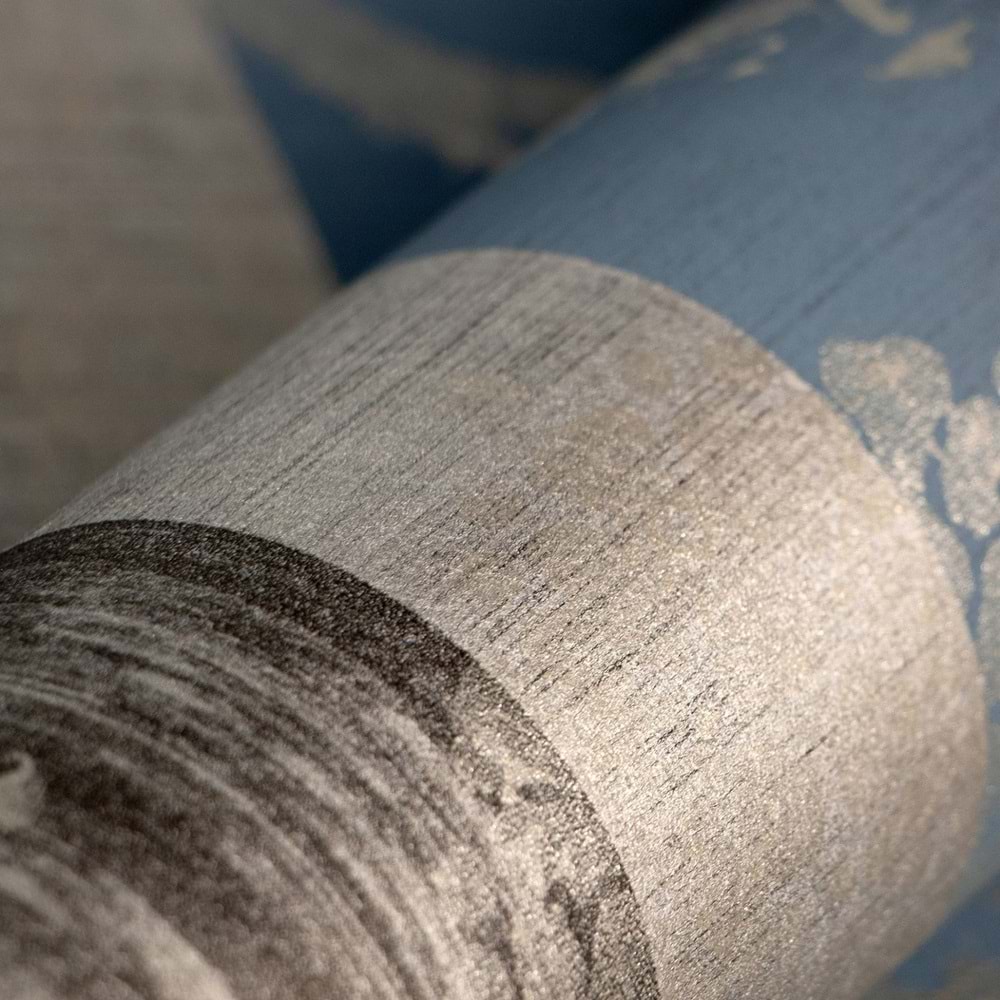 Nerites Midnight Blue