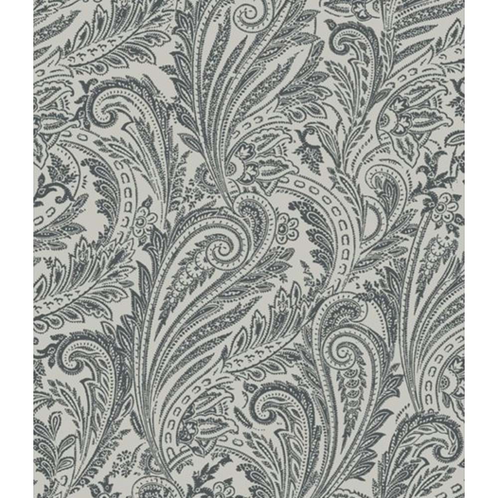 PAISLEY SILVER SR00516