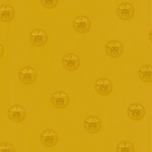 Versace 34862-4 Saf Altın Medusa Vinil Duvar Kağıdı - AS Creation
