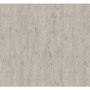 TIVOLI BIRCH