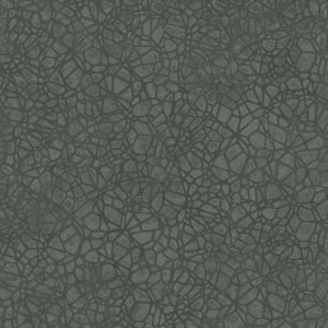 CRYSTAL CHARCOAL SH00621