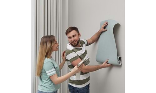 Kiralık Ev Dekorasyonu | Kiracılar için Üst Segment Duvar Kağıdı Fikirleri | Uygun Fiyat