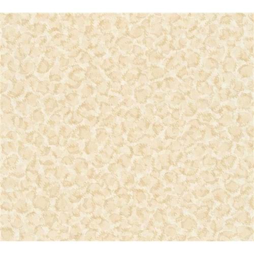 Versace Duvar Kağıdı